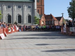 IMG_2910