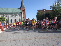 IMG_3146