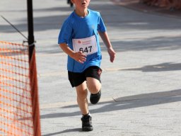 IMG_0454