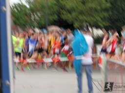 IMG_2603