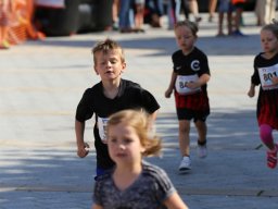 IMG_4334