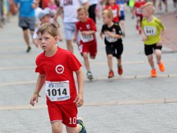 IMG_8265